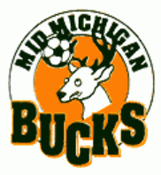 mid michigan bucks 1996-2003 primary Logo DTF transfer for t shirt